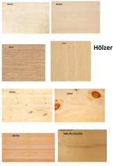 HÖLZER LS